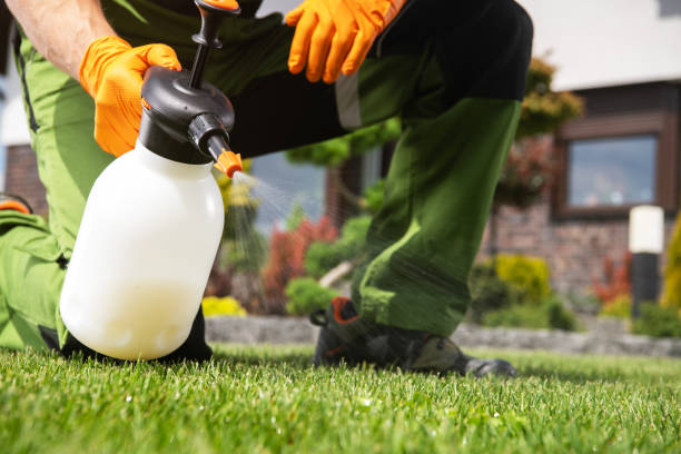 Best Wasp Removal Services  in Sebring, OH