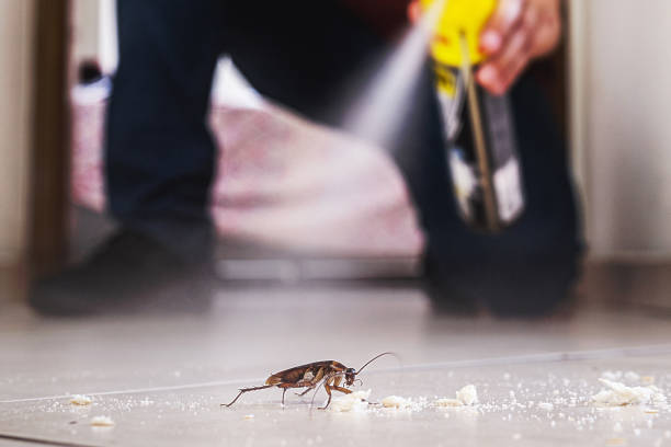 Best Residential Pest Control  in Sebring, OH